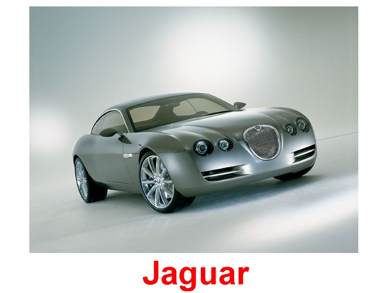 Jaguar